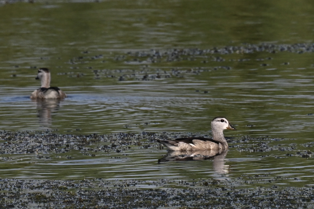 威澳门尼斯人4886