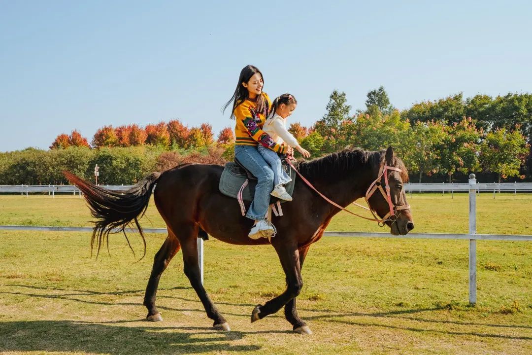 威澳门尼斯人4886