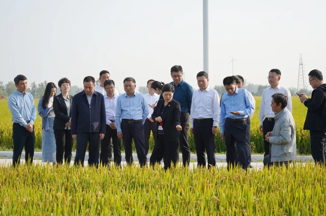 威澳门尼斯人4886