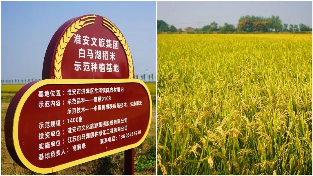 威澳门尼斯人4886