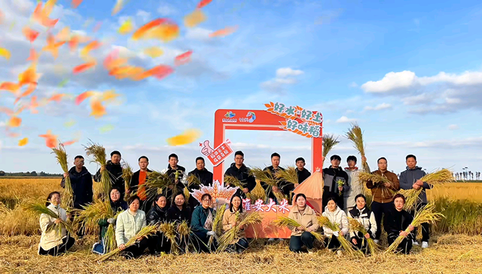 市文旅集团开展“稻田采丰 收获喜悦”青年职工团建活动