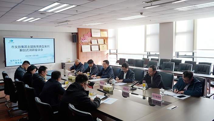 市文旅集团召开主题教育典型案例解剖式调研座谈会