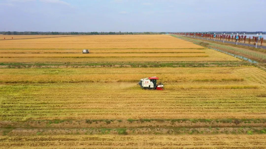 威澳门尼斯人4886