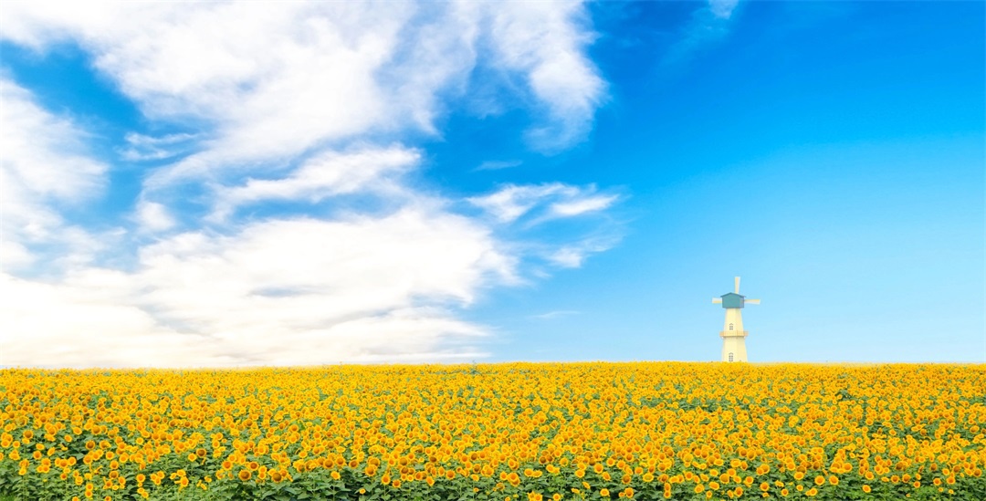 威澳门尼斯人4886