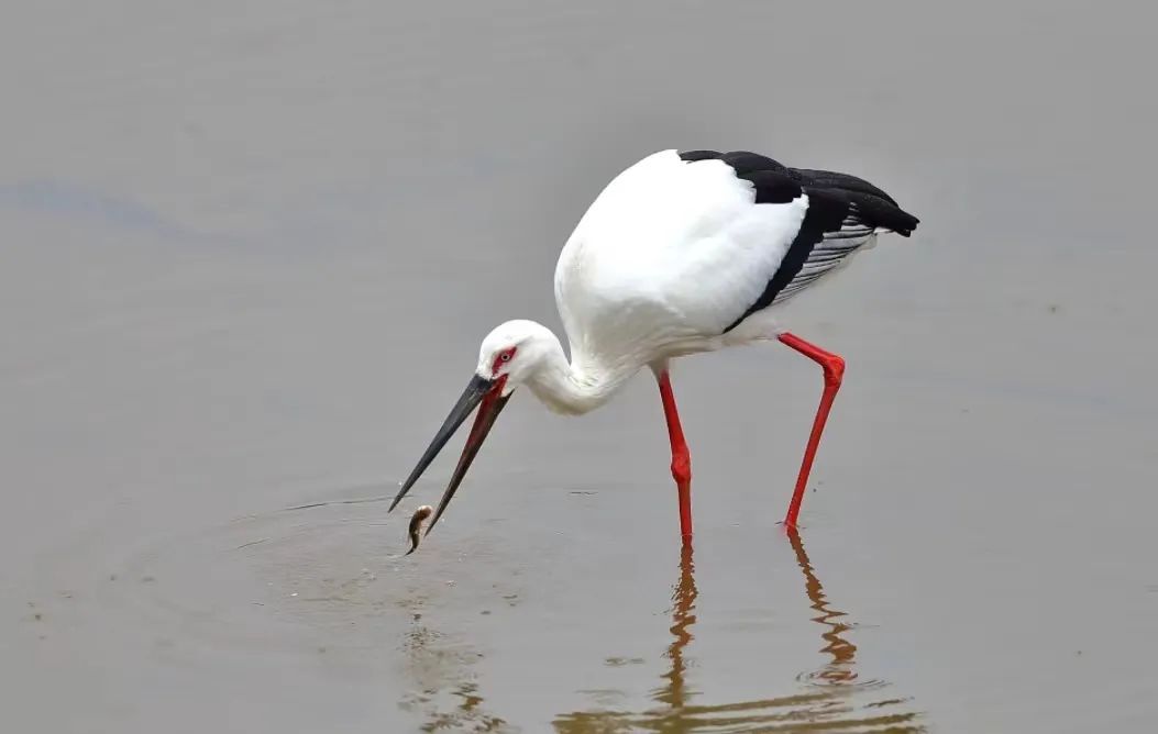 威澳门尼斯人4886