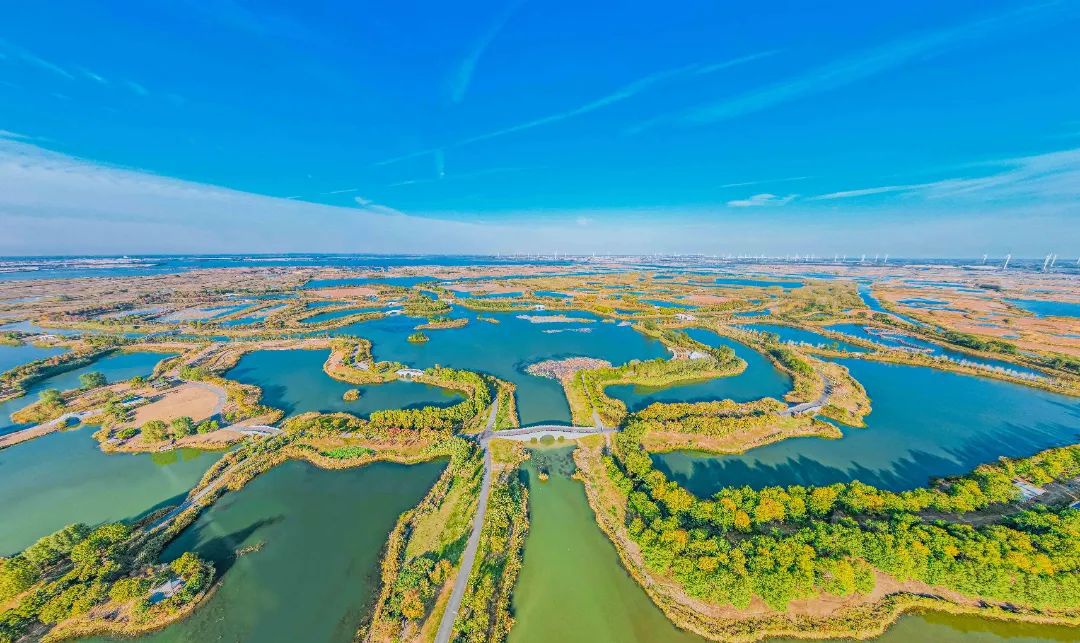 威澳门尼斯人4886