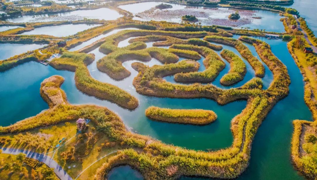 威澳门尼斯人4886