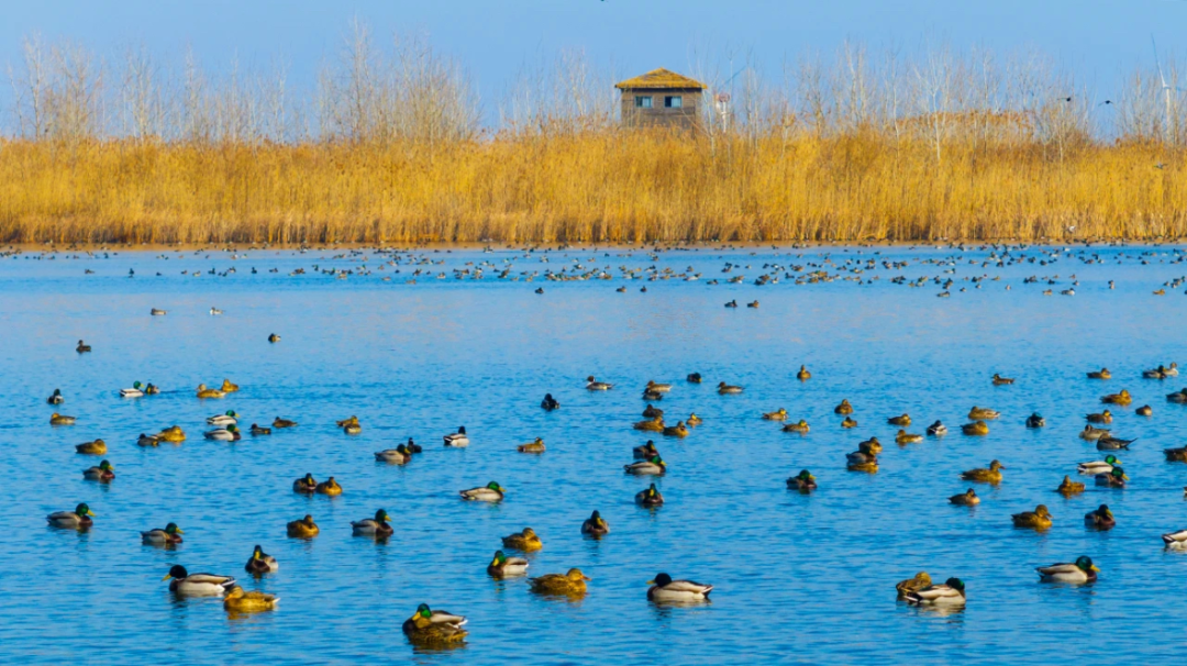 威澳门尼斯人4886