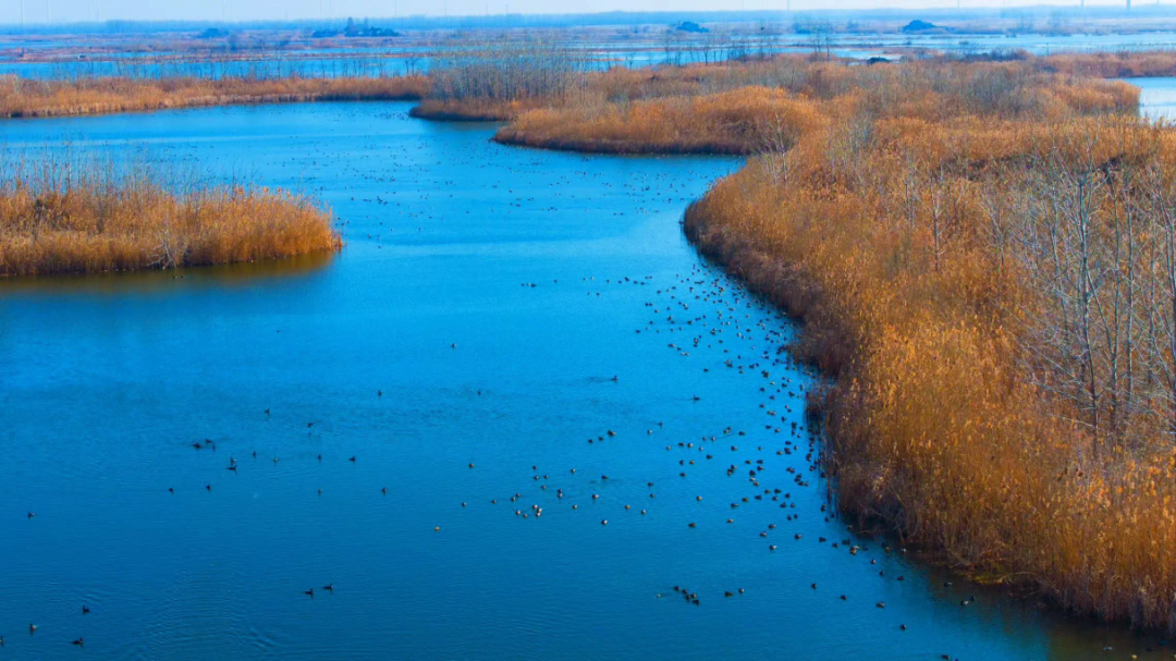 威澳门尼斯人4886