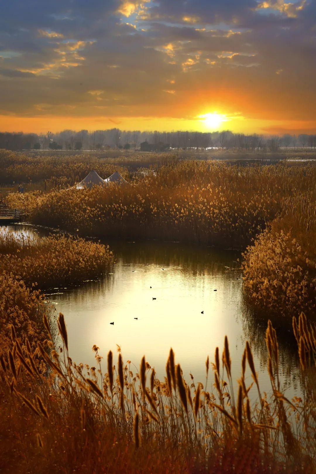 威澳门尼斯人4886