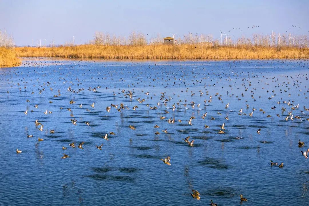 威澳门尼斯人4886