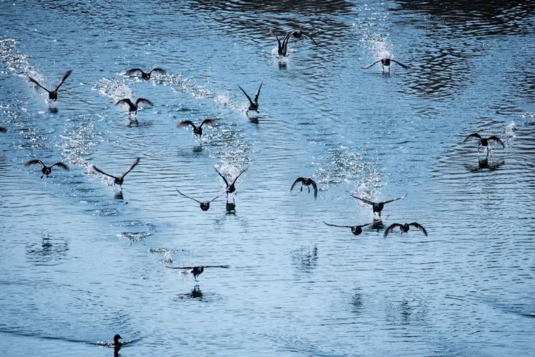 威澳门尼斯人4886