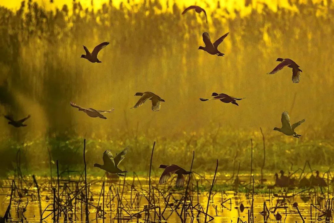 威澳门尼斯人4886