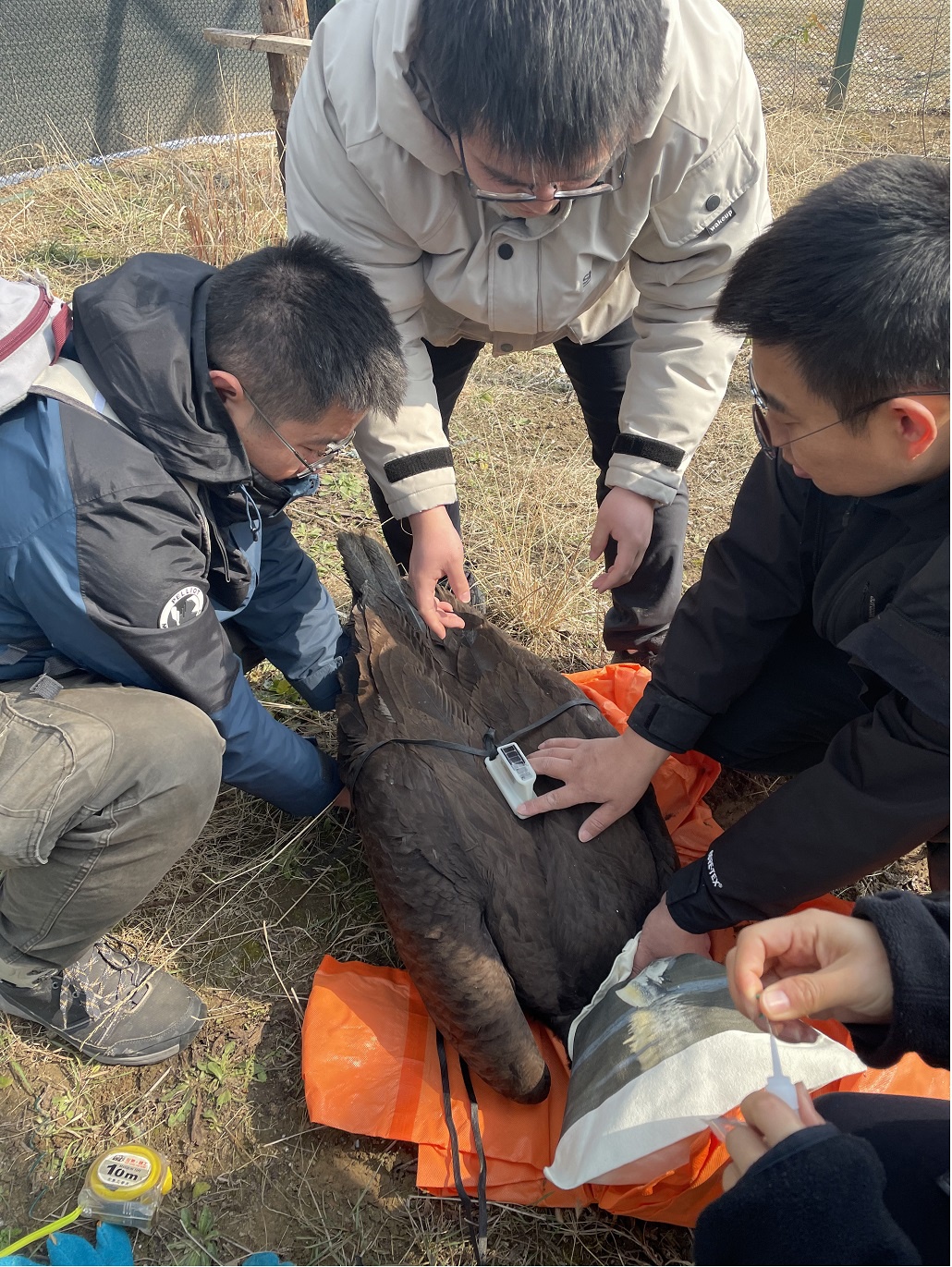 威澳门尼斯人4886