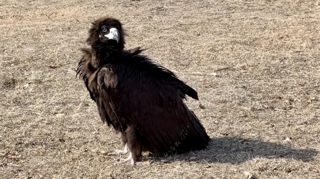 威澳门尼斯人4886