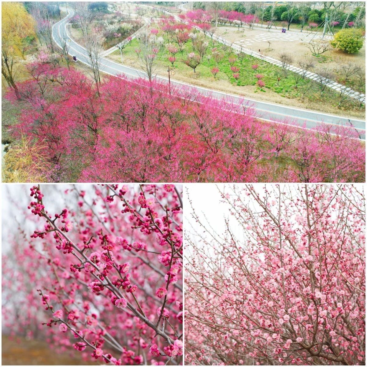 威澳门尼斯人4886