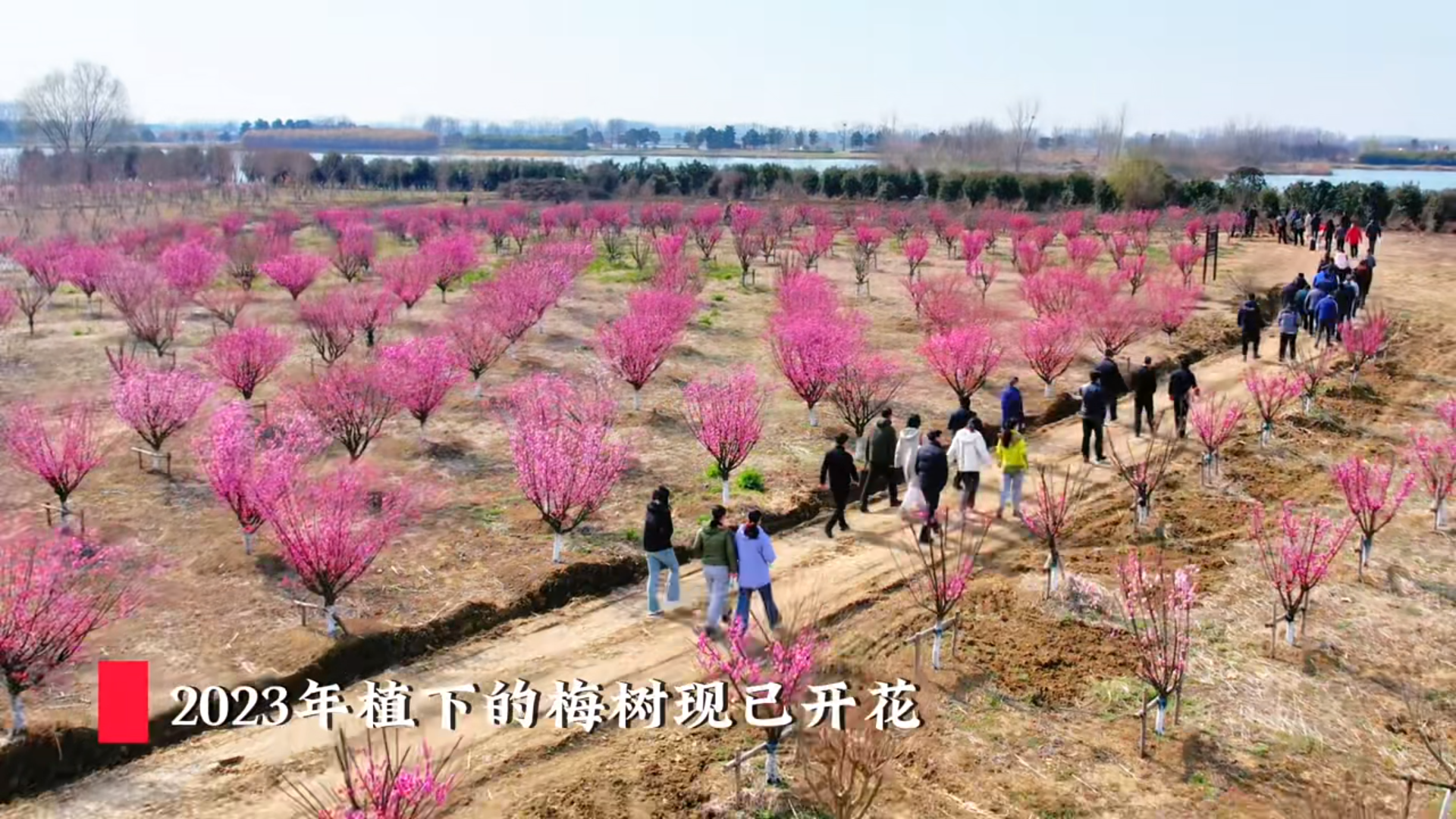 威澳门尼斯人4886