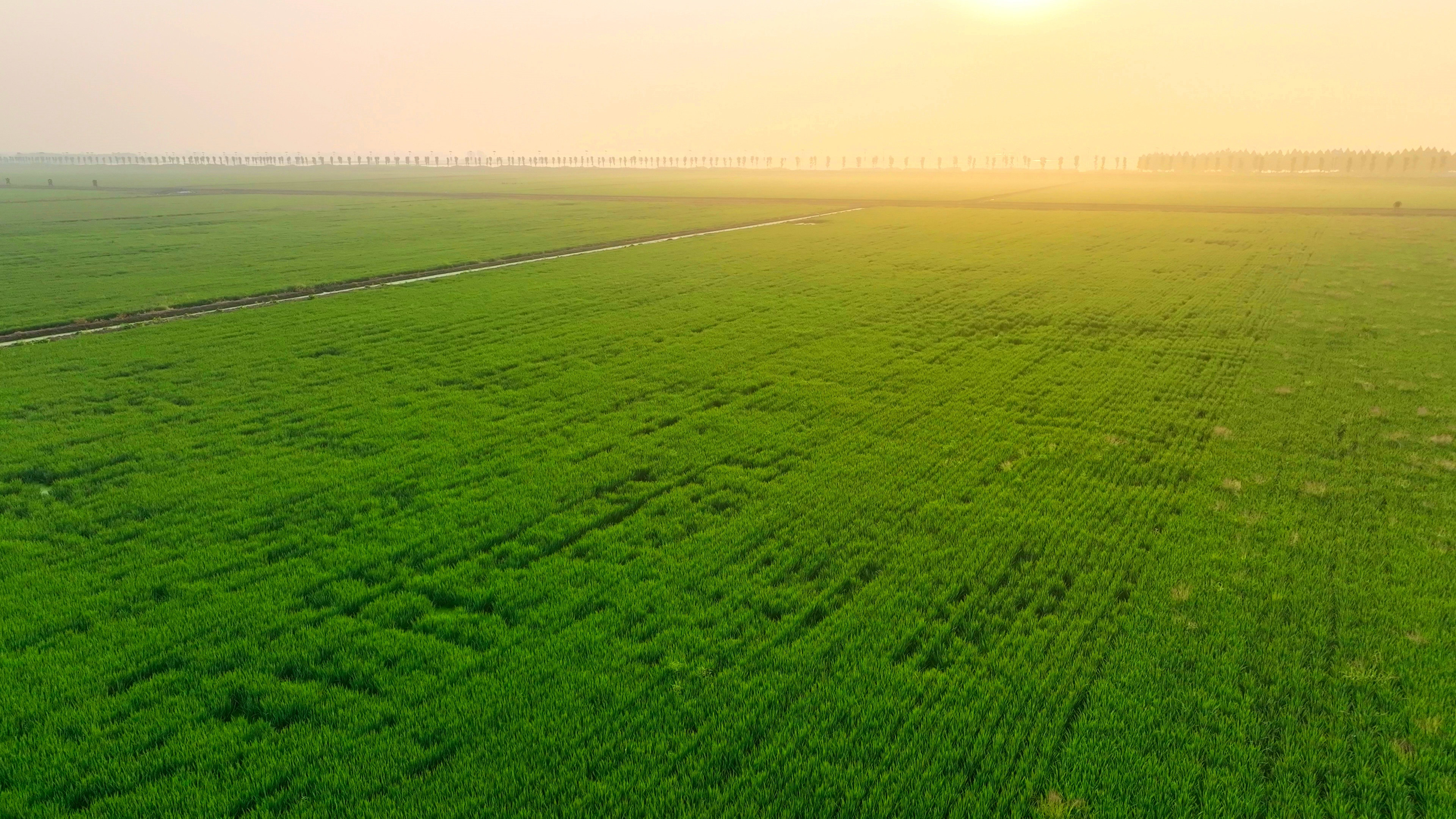 威澳门尼斯人4886