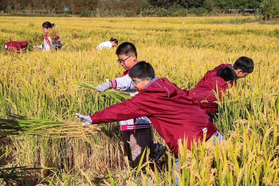 威澳门尼斯人4886