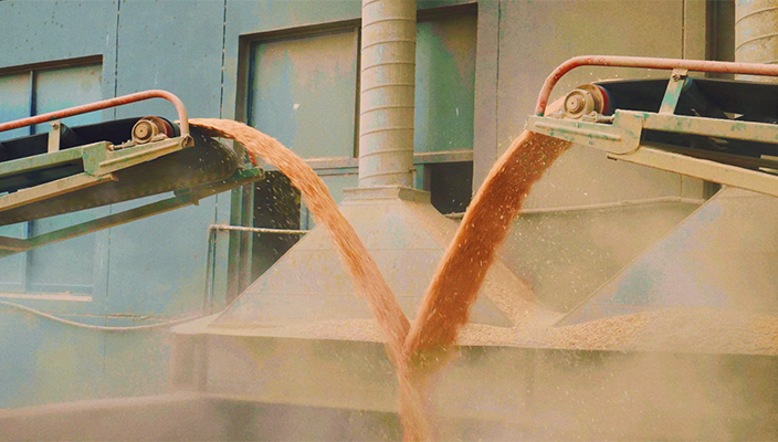 淮安大米集团圆满完成夏粮收购任务