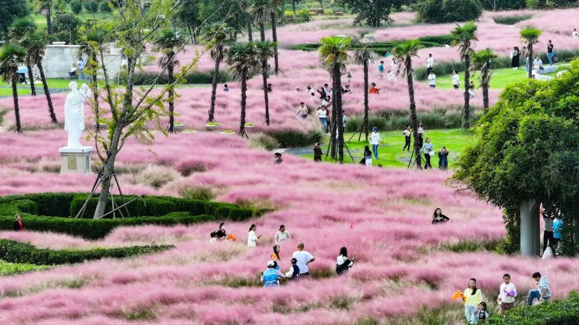 威澳门尼斯人4886