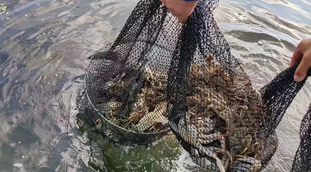 威澳门尼斯人4886