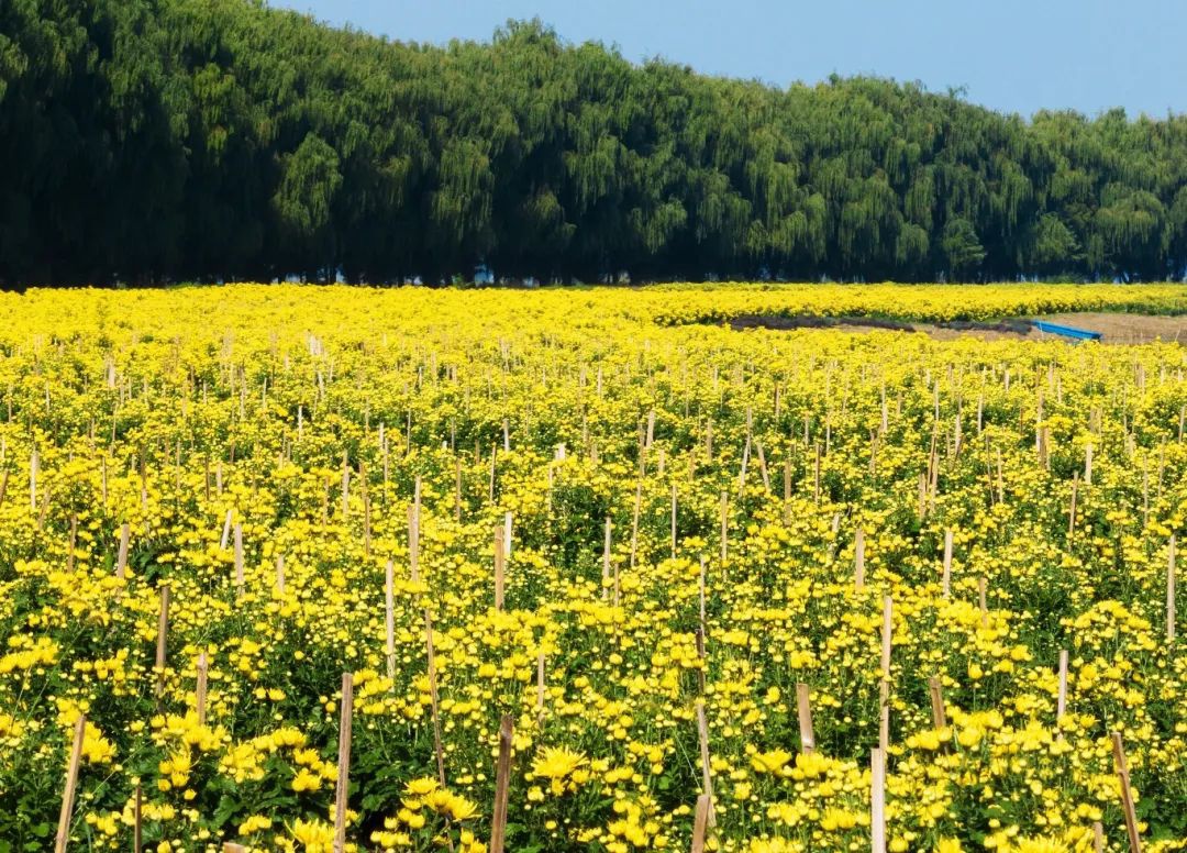 威澳门尼斯人4886