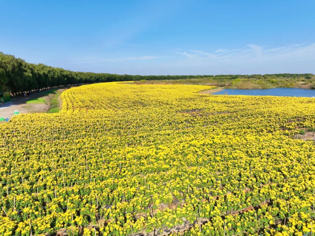 威澳门尼斯人4886