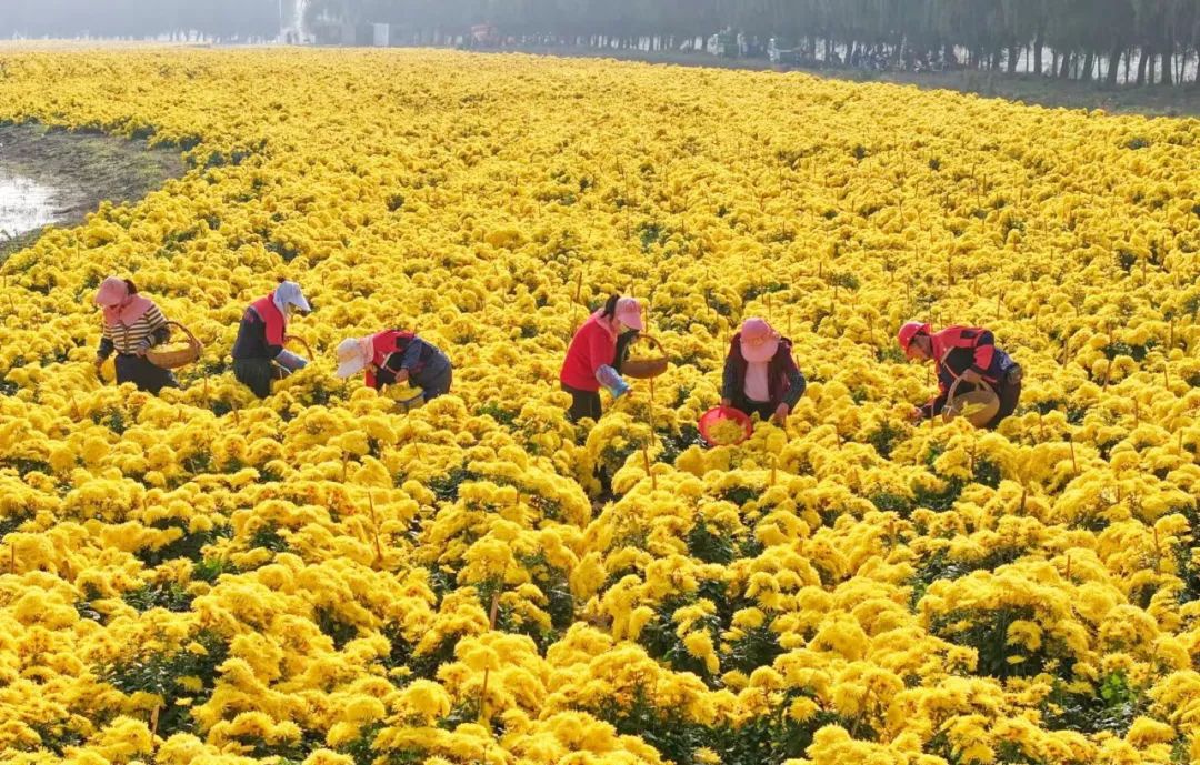 威澳门尼斯人4886