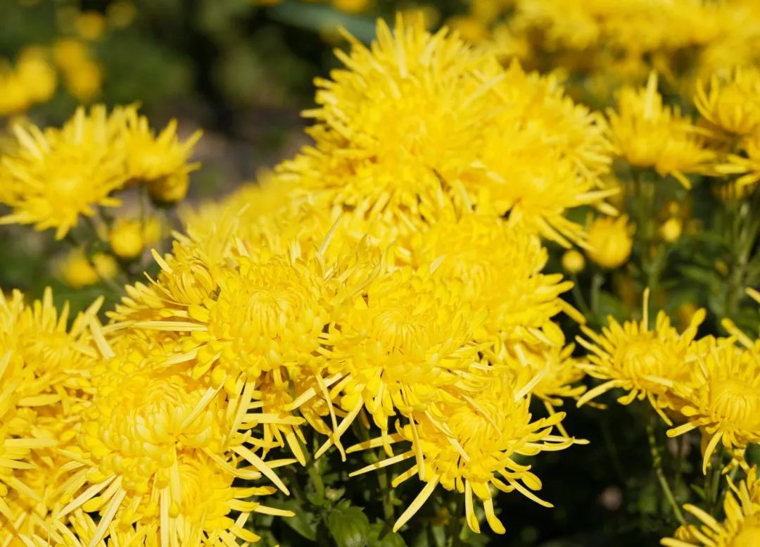 威澳门尼斯人4886