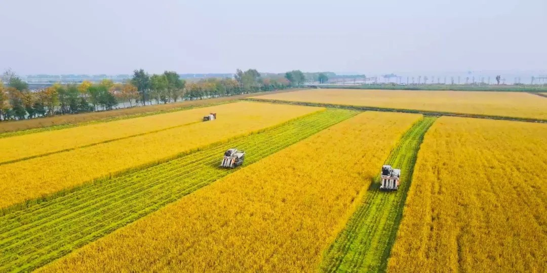 威澳门尼斯人4886