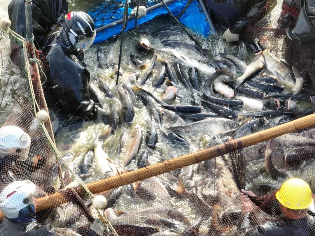 威澳门尼斯人4886