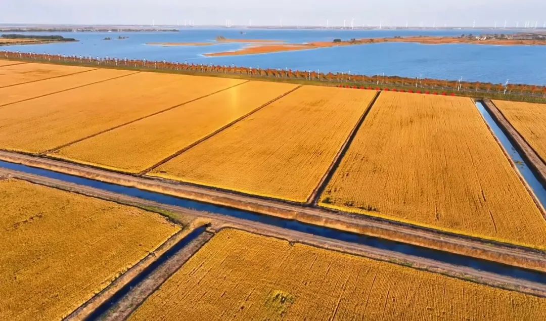 威澳门尼斯人4886