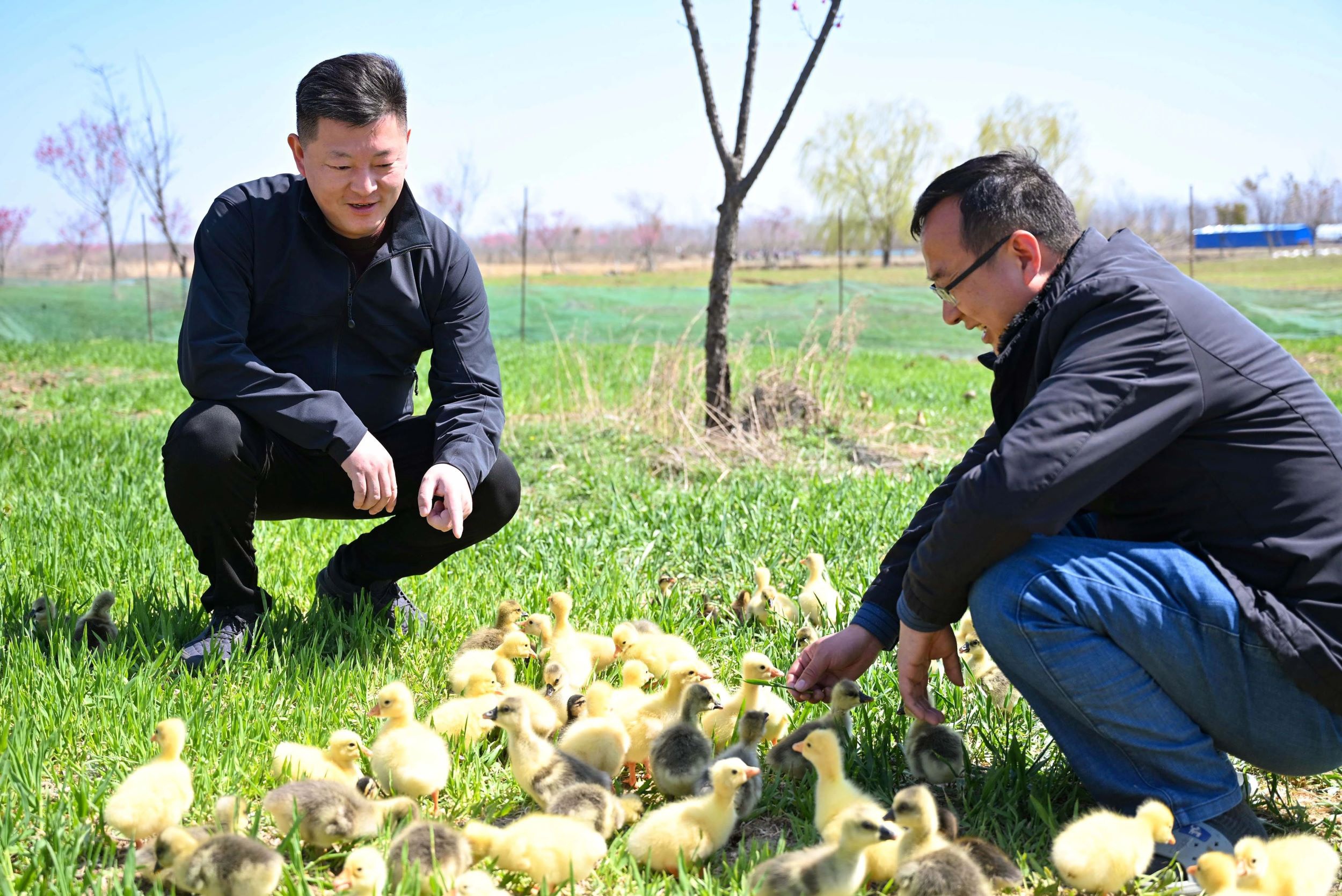 威澳门尼斯人4886