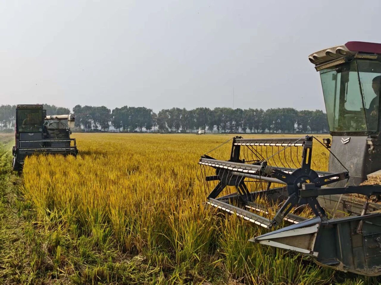 威澳门尼斯人4886